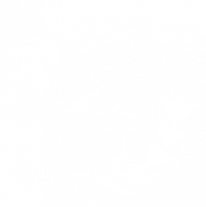 Logo_weiß_rund_Zeichenfläche 1 Kopie 7